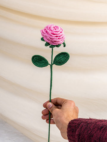 Always in Bloom - Rose